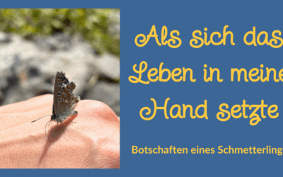 Als sich das Leben in meine Hand setzte – die Botschaft des Schmetterlings