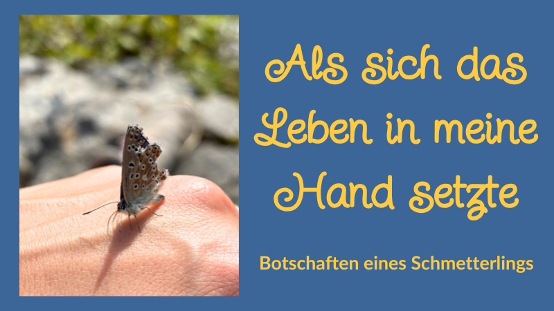 Als sich das Leben in meine Hand setzte – die Botschaft des Schmetterlings