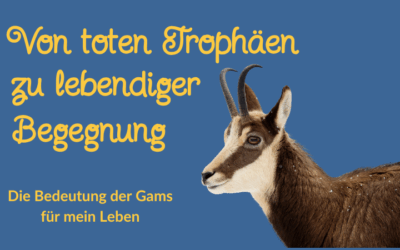 Von toten Trophäen zu lebendiger Begegnung – die Bedeutung der Gams für mein Leben